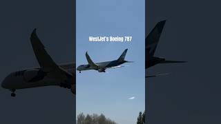 WestJet’s Boeing 787 Dreamliner heathrow boeing boeing787 shorts [upl. by Buckie103]