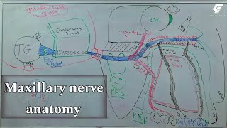 maxillary injection techniques 1 quotmaxillary nerve anatomyquot  oral surgery  عزت شومان [upl. by Anidal]