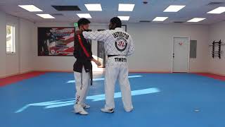 Hapkido Orange Belt One Step Sparring 4 [upl. by Kralc743]