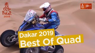 Best Of Quad  Dakar 2019 [upl. by Jemy]