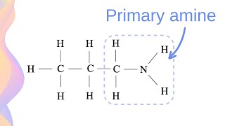 Amines Organic Bases Boiling Point and Solubility in Water  HSC Chemistry [upl. by Kenny198]