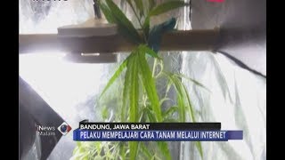 Tanam Ganja di Dalam Lemari Kos Mahasiswa di Bandung Dibekuk Polisi  iNews Malam 0607 [upl. by Biagio697]