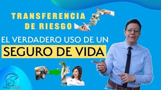 QUE ES EL SEGURO DE VIDA SIMPLEMENTE EXPLICADO [upl. by Fisken]