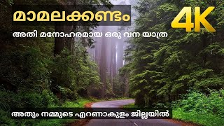 മാമലക്കണ്ടം വനയാത്ര 4K [upl. by Kamat]