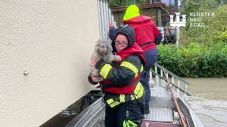 Hochwasser 2024 Klosterneuburg [upl. by Alana326]