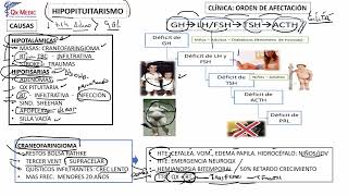 2 RM19 2V ENDOCRINO DÍA 1 HIPOPITUITARISMO [upl. by Edrea]