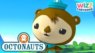 Octonauts  Shellingtons Best Bits  Series 3  Compilation  Wizz Cartoons [upl. by Anaidirib195]