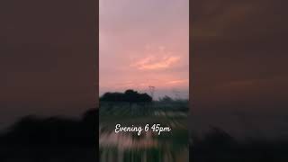 👉👀🤫💯 evening star videography evening sunset evryone shorts youtube videography [upl. by Rotciv]