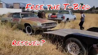 Rescued after 40 years 1968 Ford Thunderbird 429 Thunder Jet BBF [upl. by Malonis52]