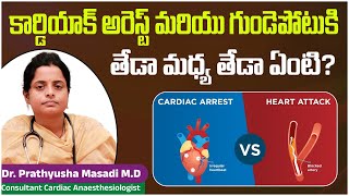 Difference Between Heart Attack and Cardiac Arrest in Telugu  Heart Attack vs Cardiac Arrest [upl. by Malachi]