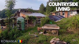 A simple day on Sustainable Living Farm Romania 🇷🇴  Solarpunk Movement S01E09 [upl. by Ennoirb804]