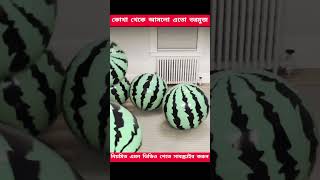 এতগুলো তরমুজ কোথা থেকে আসলো shots [upl. by Publia]