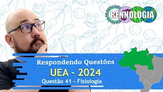 RESOLVENDO QUESTÕES  REGIÃO NORTE  UEA 2024  Questão 41 [upl. by Akialam]