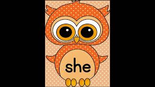 Learn 10 Dolch Primer Sight Words with Orange Owl Theme Set 1  Fall Sight Word Practice for K2 [upl. by Zilada806]