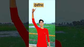 Dhaye dhaye Goli chali Deoria ke chauk pSHORTS viralshorts bhojpurireels video 🌹🌹🥀🥀 [upl. by Id]