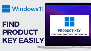 How To Find Windows 1011 Product Key 2024 EASY GUIDE [upl. by Harewood]