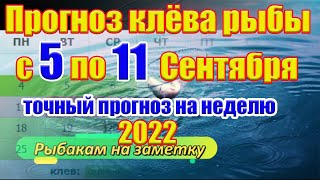 Прогноз клева рыбы на эту неделю с 5 по 11 Сентября Календарь рыбака на Сентябрь Календарь клева [upl. by Abas]