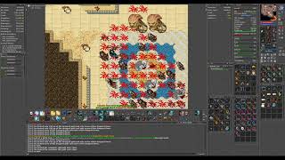 Tibia 308 Royal Paladin Werelion Hunt [upl. by Nolyad986]