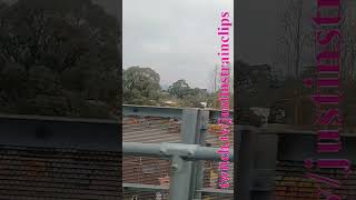 Metro Lilydale To Boxhill 060724 shorts shortvideo train travel windowviews views [upl. by Magel139]