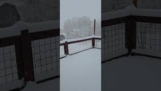 1st snowfall of the year Steamboat Springs [upl. by Hashimoto]