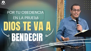 Por Tu Obediencia en la Prueba Dios Te Va A Bendecir [upl. by Lally]