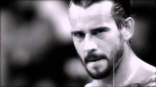 CM Punk Titantron 2013 Crowd [upl. by Aurel]