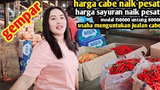 harga cabe hari inisayurangempurusaha untung banyak jualan cabe26 nov 2024 [upl. by Jeffrey]