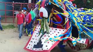 Toro de petate Ometepec 2017 [upl. by Esiocnarf285]