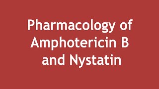 Pharmacology of Amphotericin B and Nystatin ENGLISH  Dr Shikha Parmar [upl. by Mackintosh770]