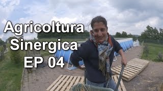 Agricoltura Sinergica EP 04 [upl. by Anidan624]