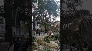 Natural History Museum Pocket Park London [upl. by Chew757]