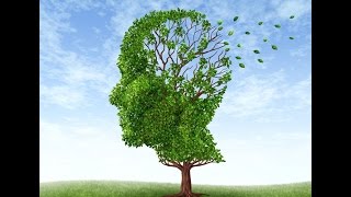 Neurologist Discusses Dementia Basics and Treatment [upl. by Wampler]