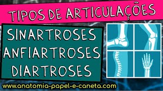 Articulações  SINARTROSES ANFIARTROSES e DIARTROSES FIBROSAS CARTILAGÍNEAS e SINOVIAIS [upl. by Llenyl461]