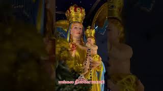 Mangla nilave song ourladyofsnows madhasongsintamil madhastatus ourladyofsnowbasilica avemaria [upl. by Kcirdor]