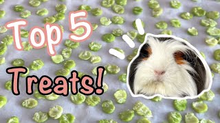 My Top 5 Guinea Pig Treats Healthy amp Delicious [upl. by Pincus]