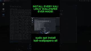 Unlock Every Kali Linux Wallpaper Ever Made 💻🔥 Shorts [upl. by Nnairret]