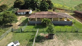 Fazenda 78 ALQU a Venda no Extremo Sul da Bahia Valor 12200000 62 981414270 Veja o VÍDEO [upl. by Forbes]