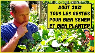 10 légumes à semer ou planter en août au potager [upl. by Poll759]