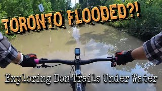 Exploring Lower DonTaylor Creek After The Flood  Danger Tourism  insta360  SingleSpeed MTB [upl. by Brass]