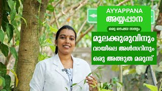 അയ്യപ്പാന  Ayyappana  Herbal medicine for Piles and Ulcer  Ayur Bethaniya Ayurveda Hospital [upl. by Ailicec445]