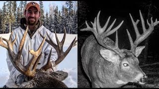 Saskatchewan Whitetail Hunt [upl. by Airbmat]