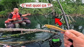 Des poissons d’eau douce et de mer au MÊME ENDROIT  Cette rivière est formidable [upl. by Bloom]