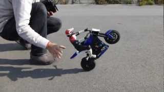 RC Bike Wheelie Device [upl. by Ayana648]