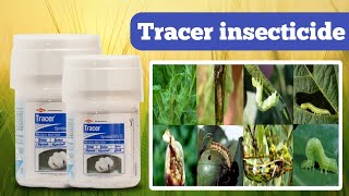 Tracer insecticide dow agro  डाऊ एग्रो सायन्स ट्रेसर स्पिनोसैड 45 एससी कीटनाशक  किमत डोज [upl. by Emyam]