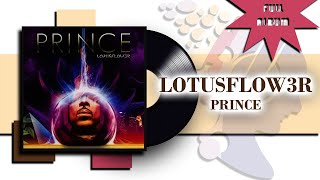 Lotusflow3r 2009  Prince [upl. by Droflim]