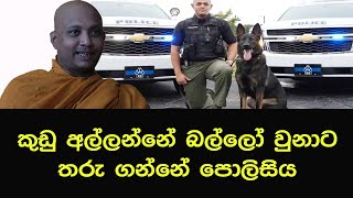 කුඩු අල්ලන්නේ බල්ලෝ වුනාට තරු ගන්නේ පොලිසියbana darmadesanasinhala [upl. by Volin]