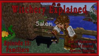 Witchery Explained Episode 11 Familiars [upl. by Airekahs]