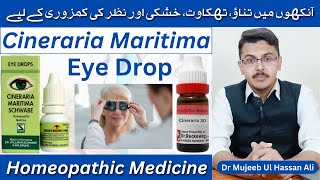 Cineraria Maritima Schwabe eye drops benefits in Hindi  Cineraria Maritima Eye Drops  Cineraria 30 [upl. by Yanaton]