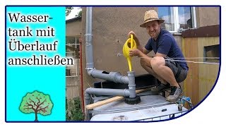 IBC Wassertank mit Überlauf anschließen  Regenwasser sammeln  Das Gold des Gärtners [upl. by Thornburg]