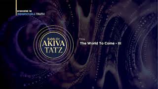 Rabbi Akiva Tatz The World To Come III [upl. by Yhtac]